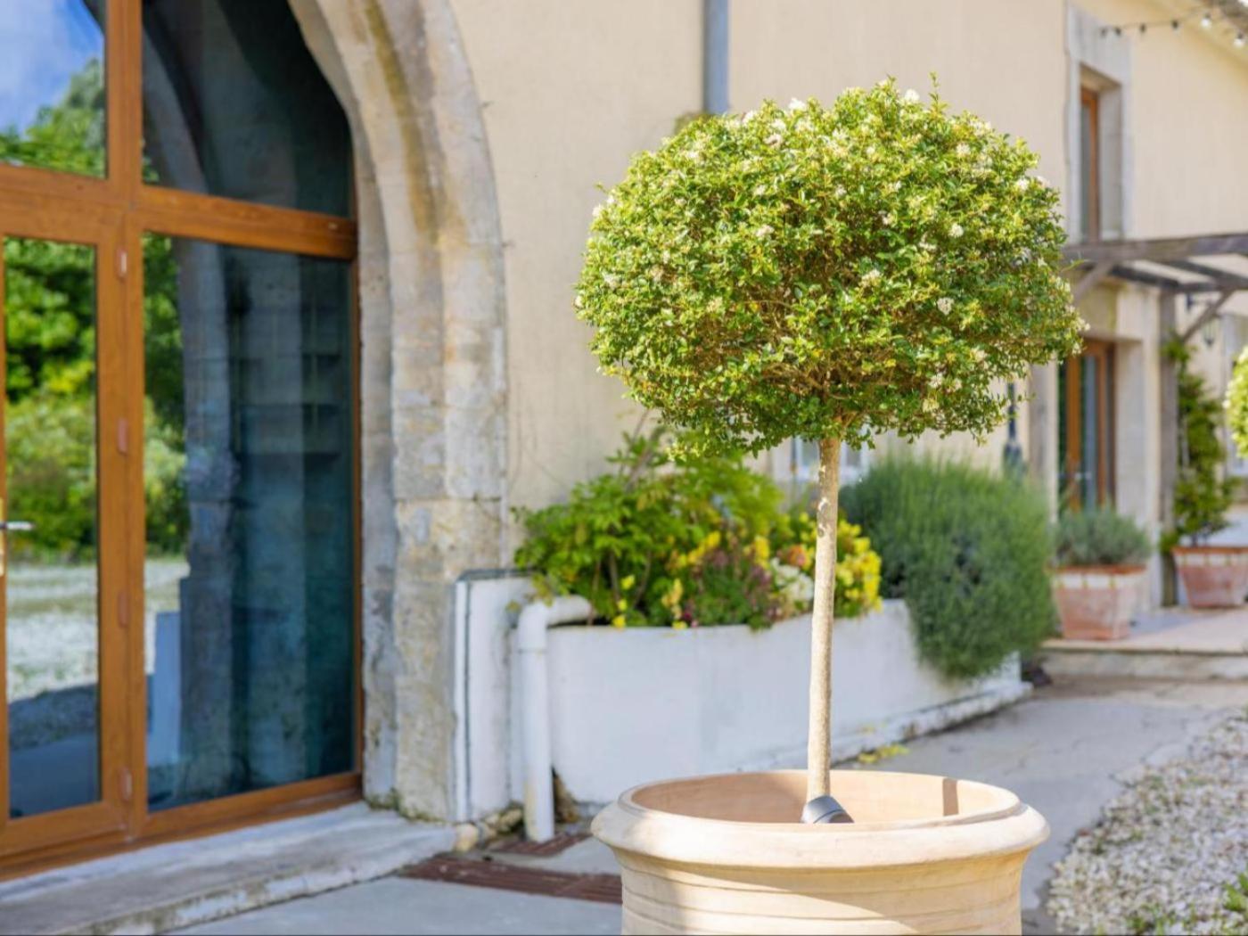 Paradis Des Vignes Birac  Δωμάτιο φωτογραφία