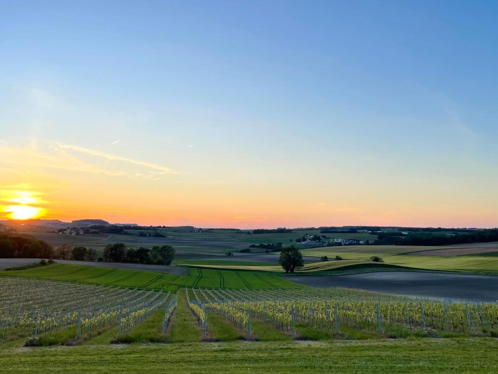 Paradis Des Vignes Birac  Δωμάτιο φωτογραφία
