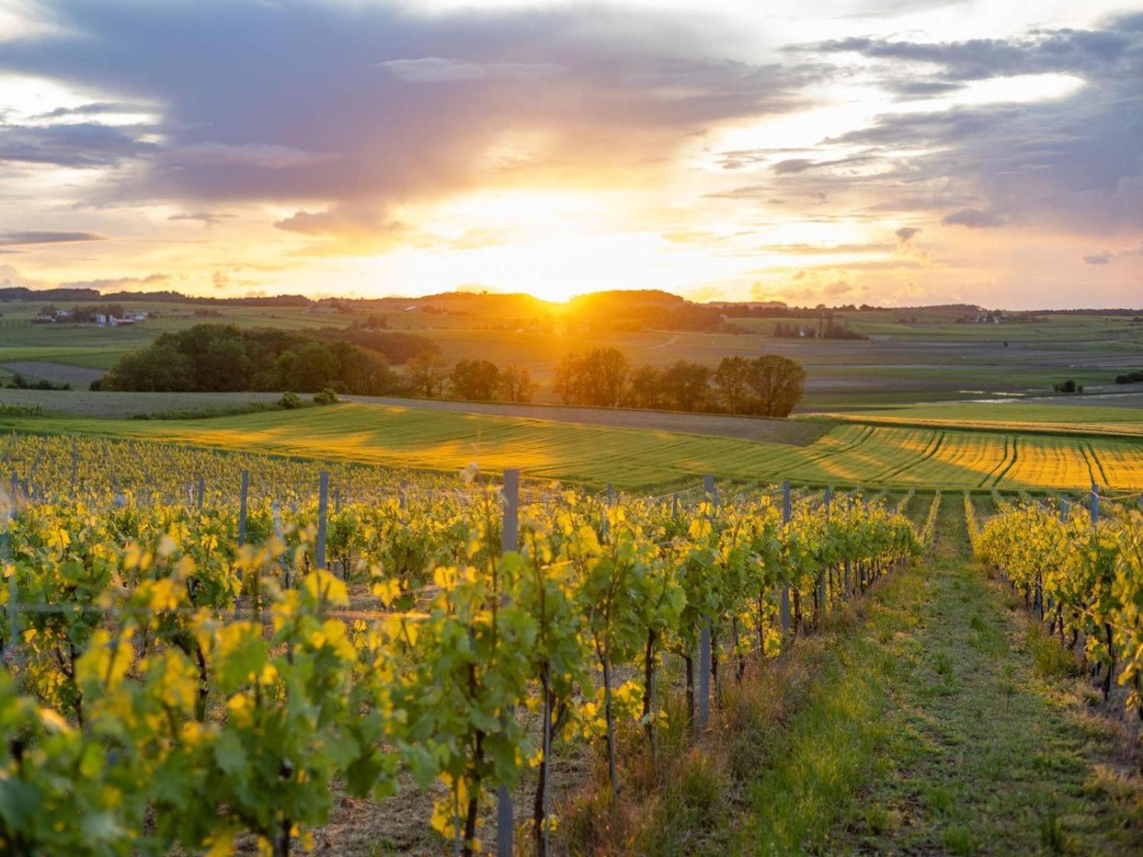 Paradis Des Vignes Birac  Δωμάτιο φωτογραφία